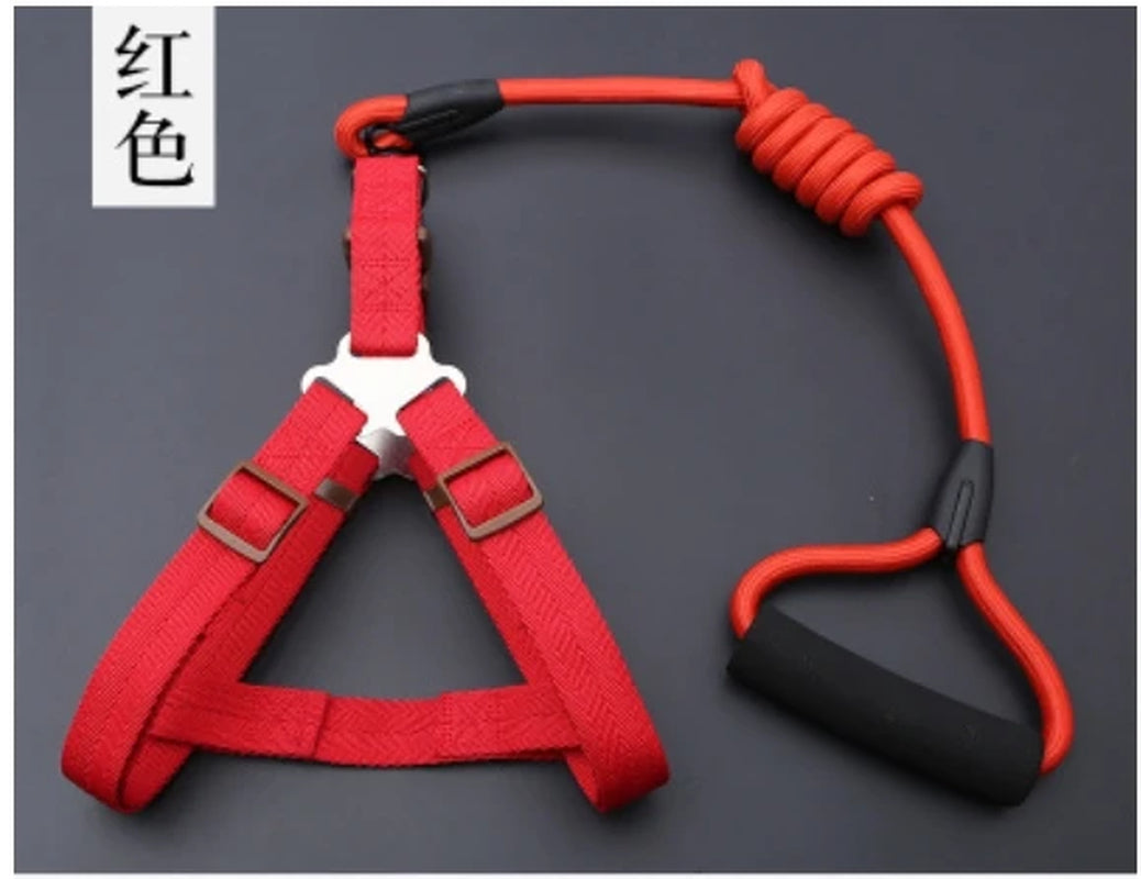 Small Puppy Pet Dog Collars Set Adjustable Buckle Leash Large Dogs Harness Chihuahua Walking Lead Leash Dog Pet Harness Vest