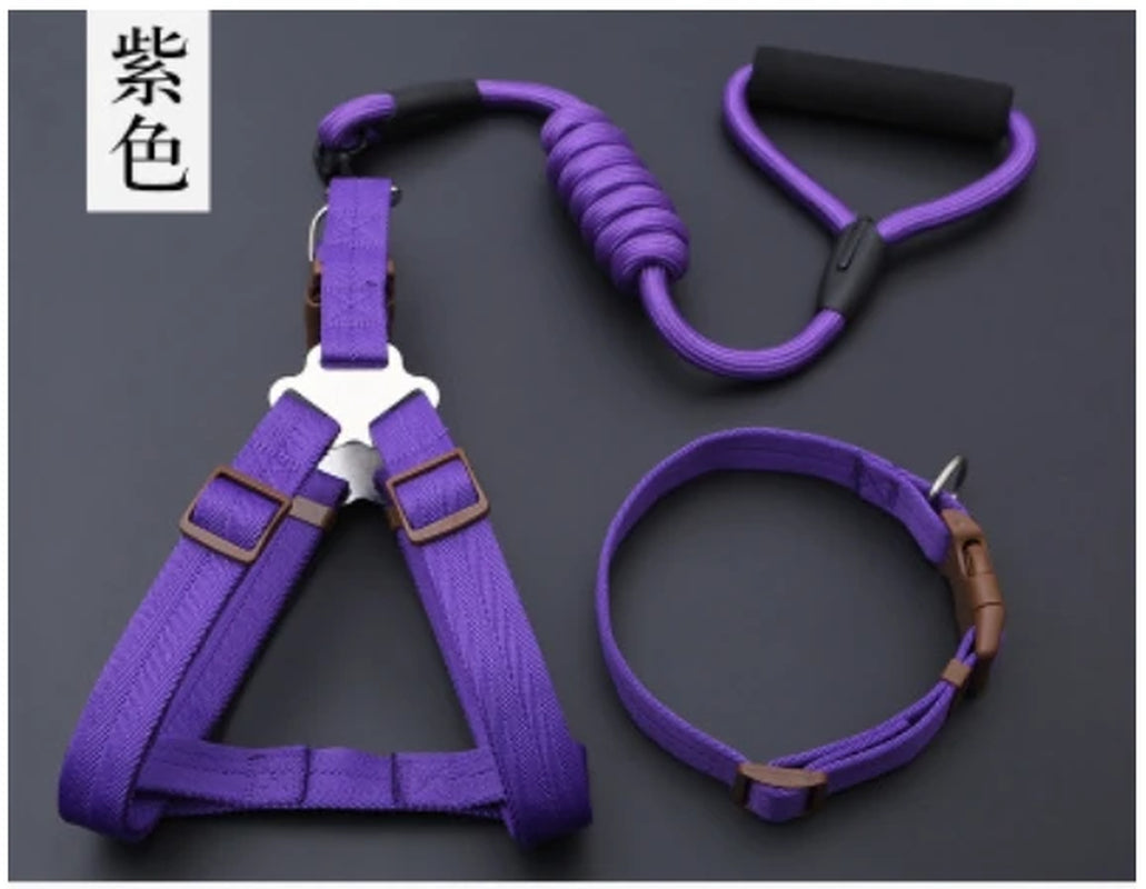 Small Puppy Pet Dog Collars Set Adjustable Buckle Leash Large Dogs Harness Chihuahua Walking Lead Leash Dog Pet Harness Vest