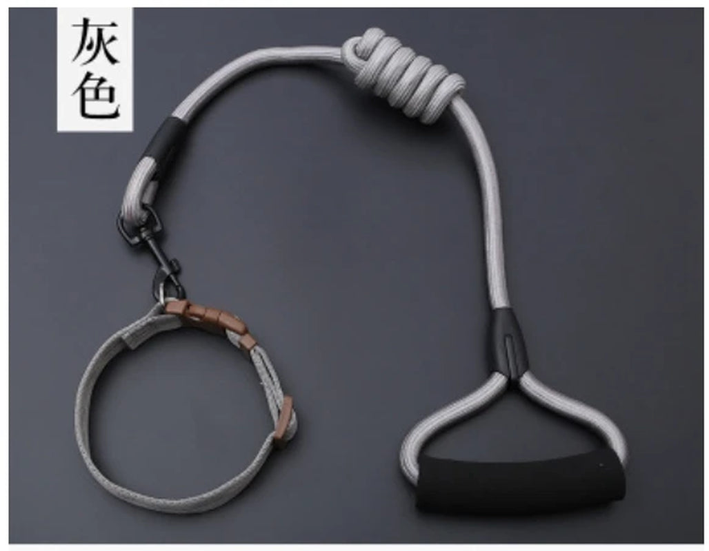 Small Puppy Pet Dog Collars Set Adjustable Buckle Leash Large Dogs Harness Chihuahua Walking Lead Leash Dog Pet Harness Vest