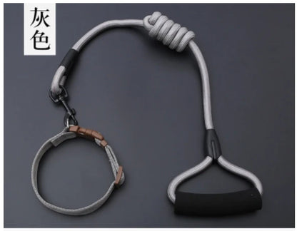 Small Puppy Pet Dog Collars Set Adjustable Buckle Leash Large Dogs Harness Chihuahua Walking Lead Leash Dog Pet Harness Vest