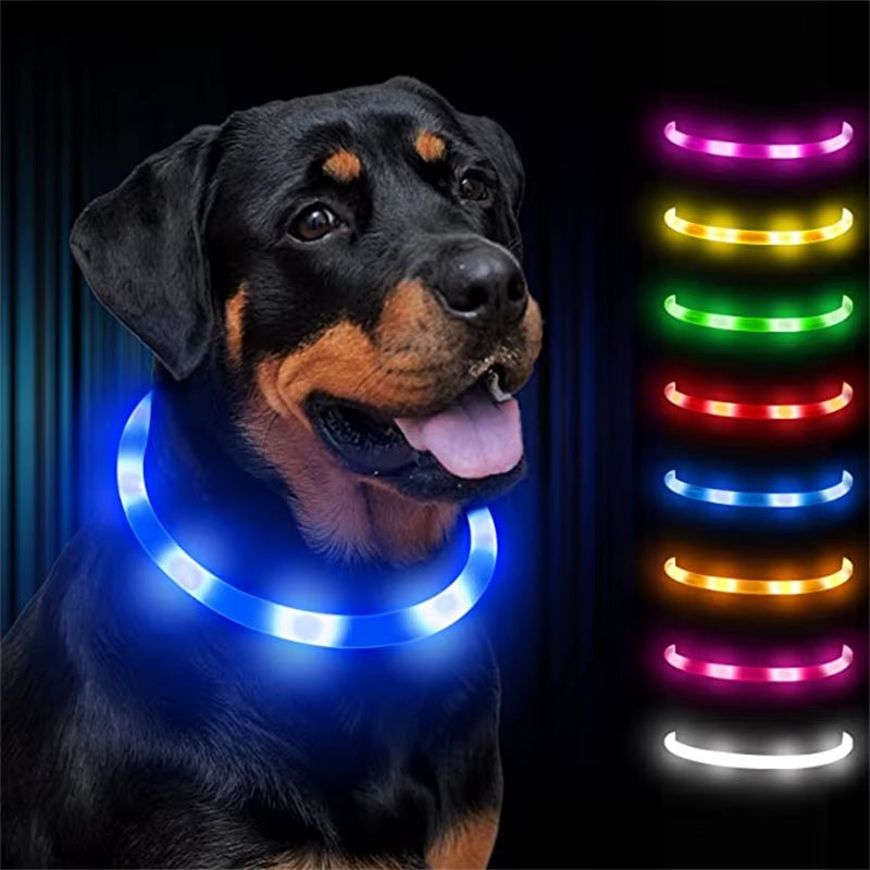 LED Glowing Dog Collar USB Rechargeable Luminous Light up Dog Collars, Flashing Lights for Puppy Small Medium Large Dogs&Cats