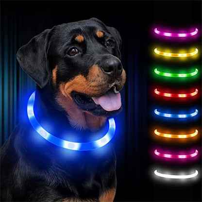LED Glowing Dog Collar USB Rechargeable Luminous Light up Dog Collars, Flashing Lights for Puppy Small Medium Large Dogs&Cats