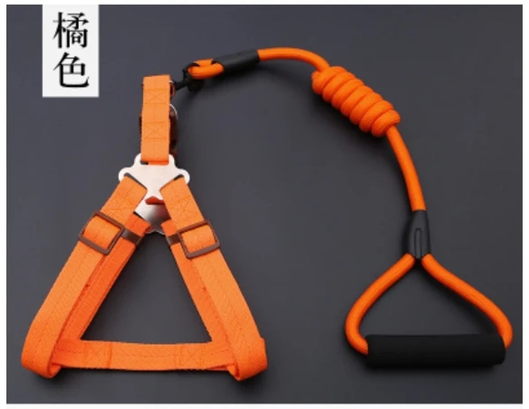 Small Puppy Pet Dog Collars Set Adjustable Buckle Leash Large Dogs Harness Chihuahua Walking Lead Leash Dog Pet Harness Vest