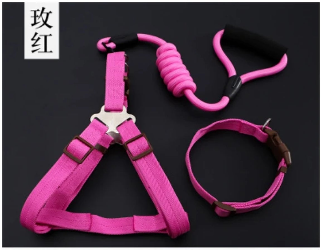 Small Puppy Pet Dog Collars Set Adjustable Buckle Leash Large Dogs Harness Chihuahua Walking Lead Leash Dog Pet Harness Vest