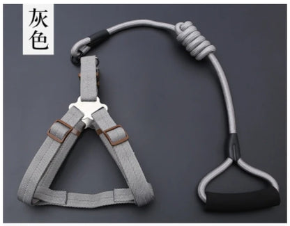 Small Puppy Pet Dog Collars Set Adjustable Buckle Leash Large Dogs Harness Chihuahua Walking Lead Leash Dog Pet Harness Vest