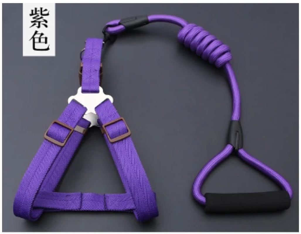 Small Puppy Pet Dog Collars Set Adjustable Buckle Leash Large Dogs Harness Chihuahua Walking Lead Leash Dog Pet Harness Vest