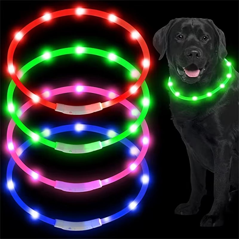 LED Glowing Dog Collar USB Rechargeable Luminous Light up Dog Collars, Flashing Lights for Puppy Small Medium Large Dogs&Cats