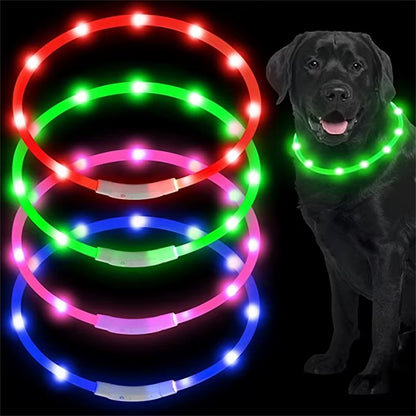 LED Glowing Dog Collar USB Rechargeable Luminous Light up Dog Collars, Flashing Lights for Puppy Small Medium Large Dogs&Cats