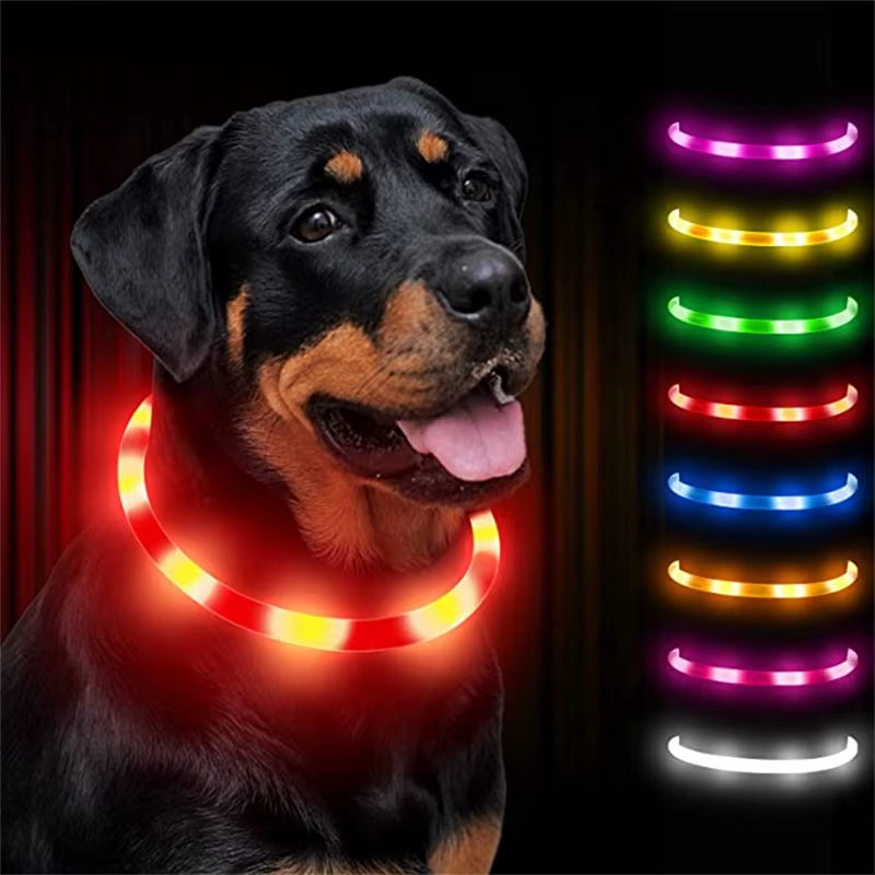 LED Glowing Dog Collar USB Rechargeable Luminous Light up Dog Collars, Flashing Lights for Puppy Small Medium Large Dogs&Cats