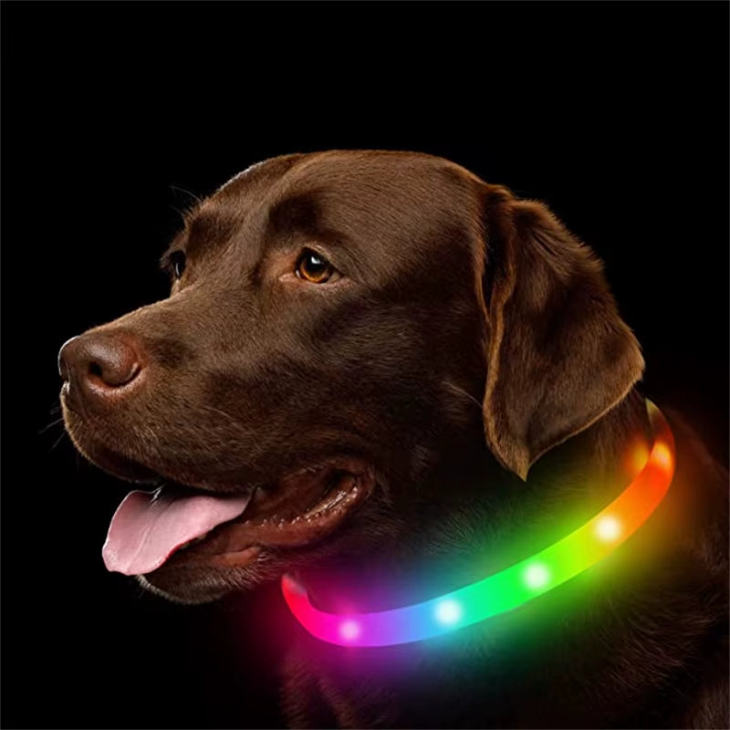 LED Glowing Dog Collar USB Rechargeable Luminous Light up Dog Collars, Flashing Lights for Puppy Small Medium Large Dogs&Cats
