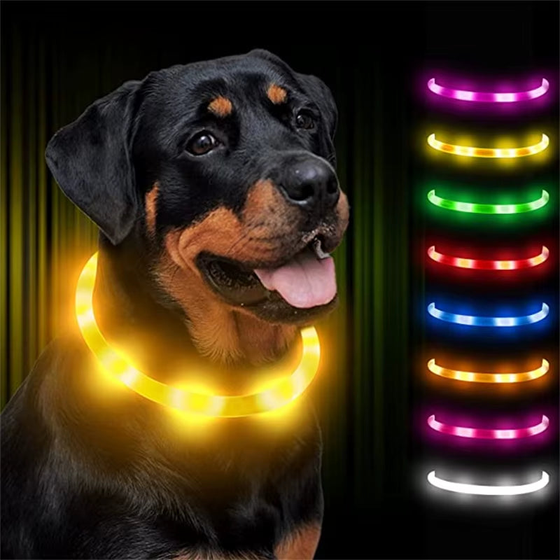LED Glowing Dog Collar USB Rechargeable Luminous Light up Dog Collars, Flashing Lights for Puppy Small Medium Large Dogs&Cats
