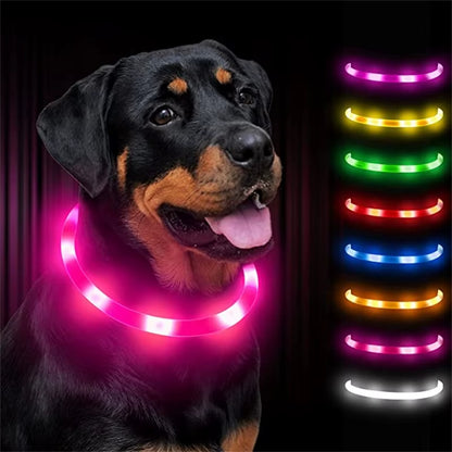 LED Glowing Dog Collar USB Rechargeable Luminous Light up Dog Collars, Flashing Lights for Puppy Small Medium Large Dogs&Cats
