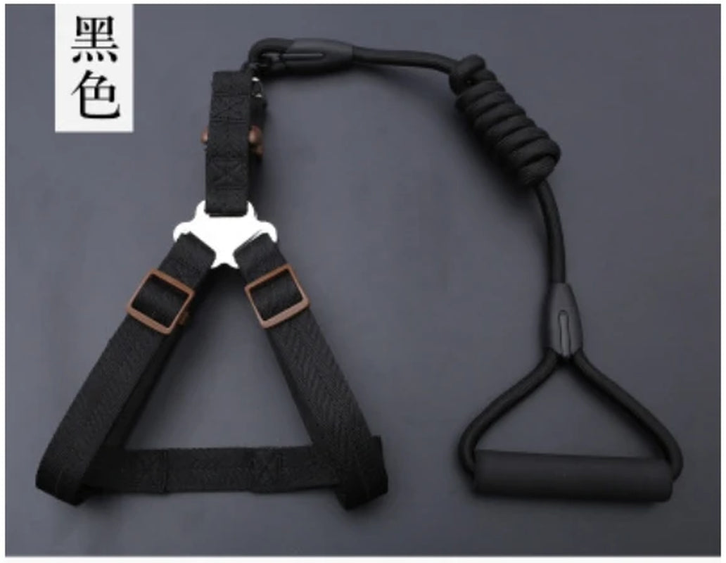 Small Puppy Pet Dog Collars Set Adjustable Buckle Leash Large Dogs Harness Chihuahua Walking Lead Leash Dog Pet Harness Vest