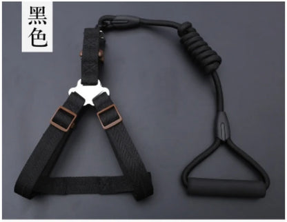 Small Puppy Pet Dog Collars Set Adjustable Buckle Leash Large Dogs Harness Chihuahua Walking Lead Leash Dog Pet Harness Vest