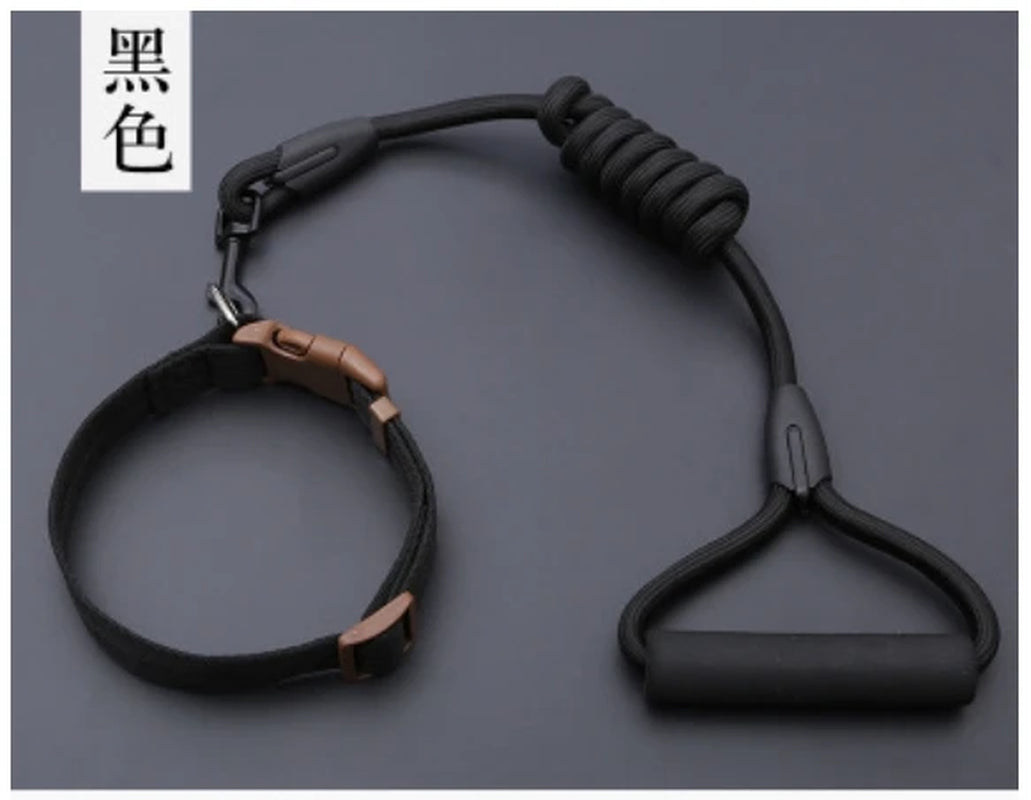 Small Puppy Pet Dog Collars Set Adjustable Buckle Leash Large Dogs Harness Chihuahua Walking Lead Leash Dog Pet Harness Vest