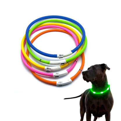 LED Glowing Dog Collar USB Rechargeable Luminous Light up Dog Collars, Flashing Lights for Puppy Small Medium Large Dogs&Cats
