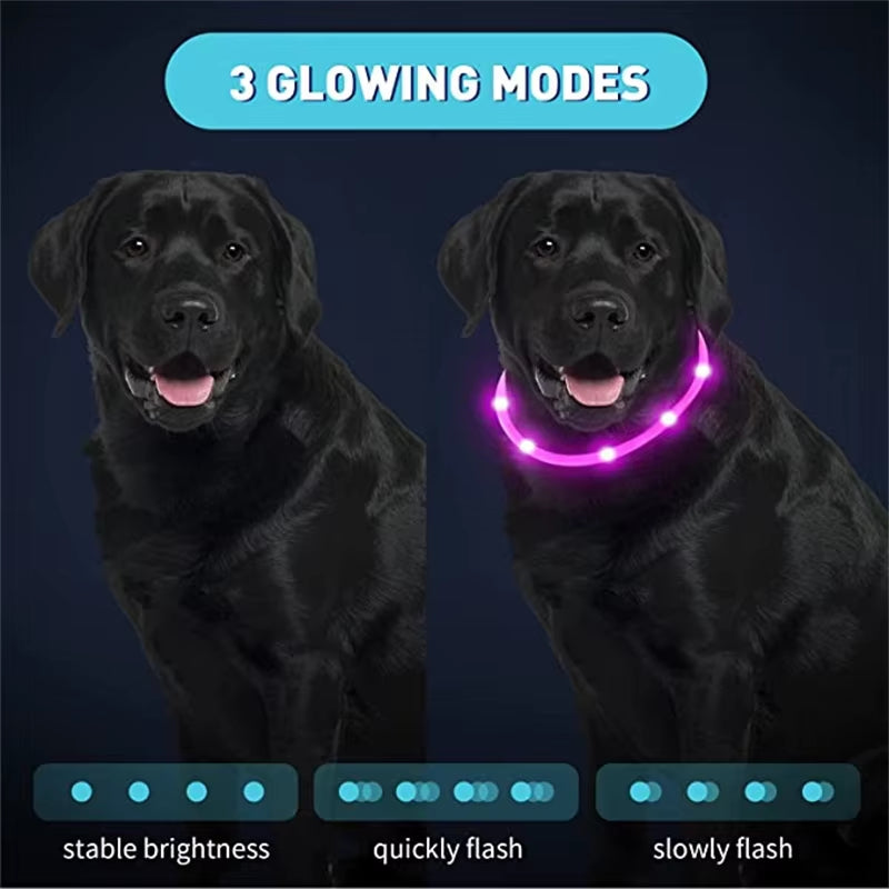 LED Glowing Dog Collar USB Rechargeable Luminous Light up Dog Collars, Flashing Lights for Puppy Small Medium Large Dogs&Cats