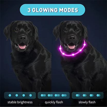 LED Glowing Dog Collar USB Rechargeable Luminous Light up Dog Collars, Flashing Lights for Puppy Small Medium Large Dogs&Cats