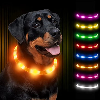 LED Glowing Dog Collar USB Rechargeable Luminous Light up Dog Collars, Flashing Lights for Puppy Small Medium Large Dogs&Cats