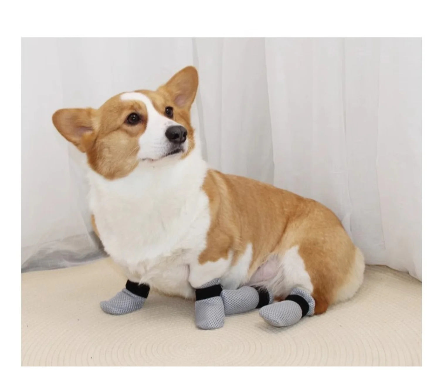 Pet Paw Protectors - anti - Scratch & Floor Protection Shoes for Cats and Dogs