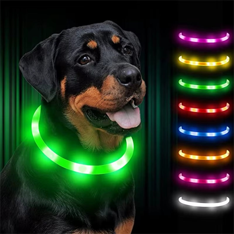 LED Glowing Dog Collar USB Rechargeable Luminous Light up Dog Collars, Flashing Lights for Puppy Small Medium Large Dogs&Cats